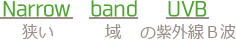 ナローバンド解説